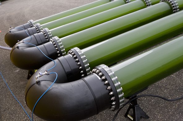 Anguilla Tube – oxygen nipples in hatchery tubes for eel farming Anguilla hatchery tubes with oxygen nipples – oxygen injection points for eel rearing in transparent tube system